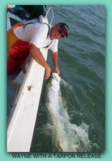 Wayne with a Tarpon on fat cat